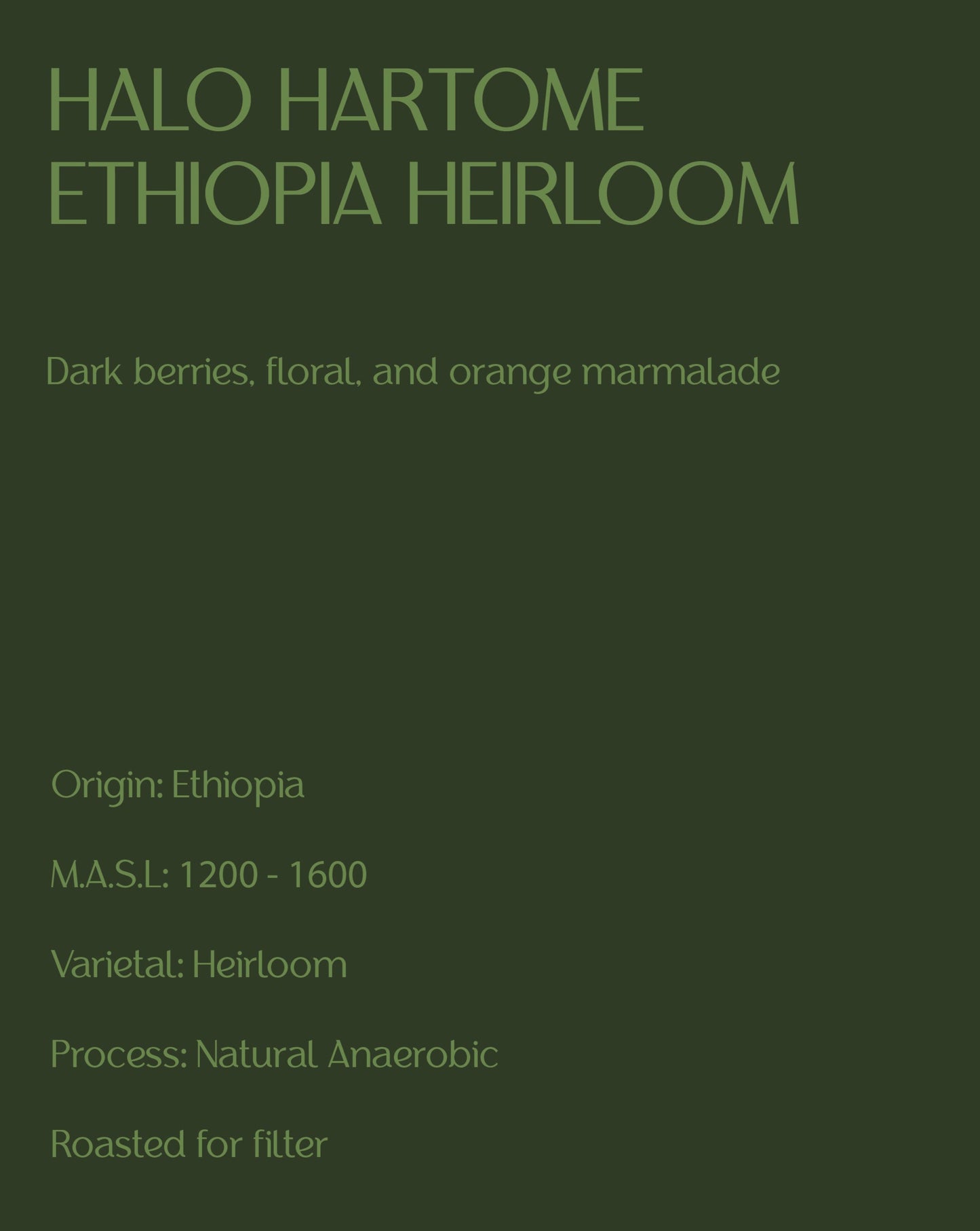 Halo Hartume - Ethiopia