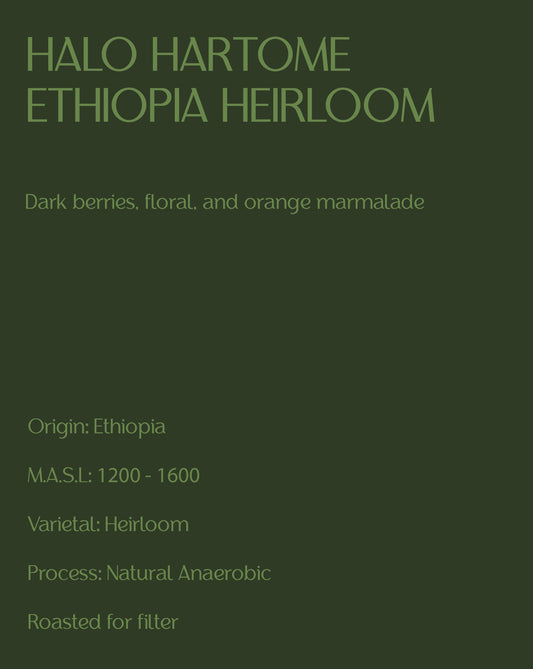 Halo Hartume - Ethiopia