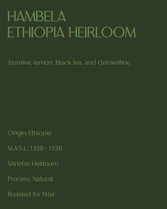 Guji Hambela - Ethiopia