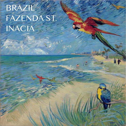 Brazil - Fazenda Santa Inacia - Natural