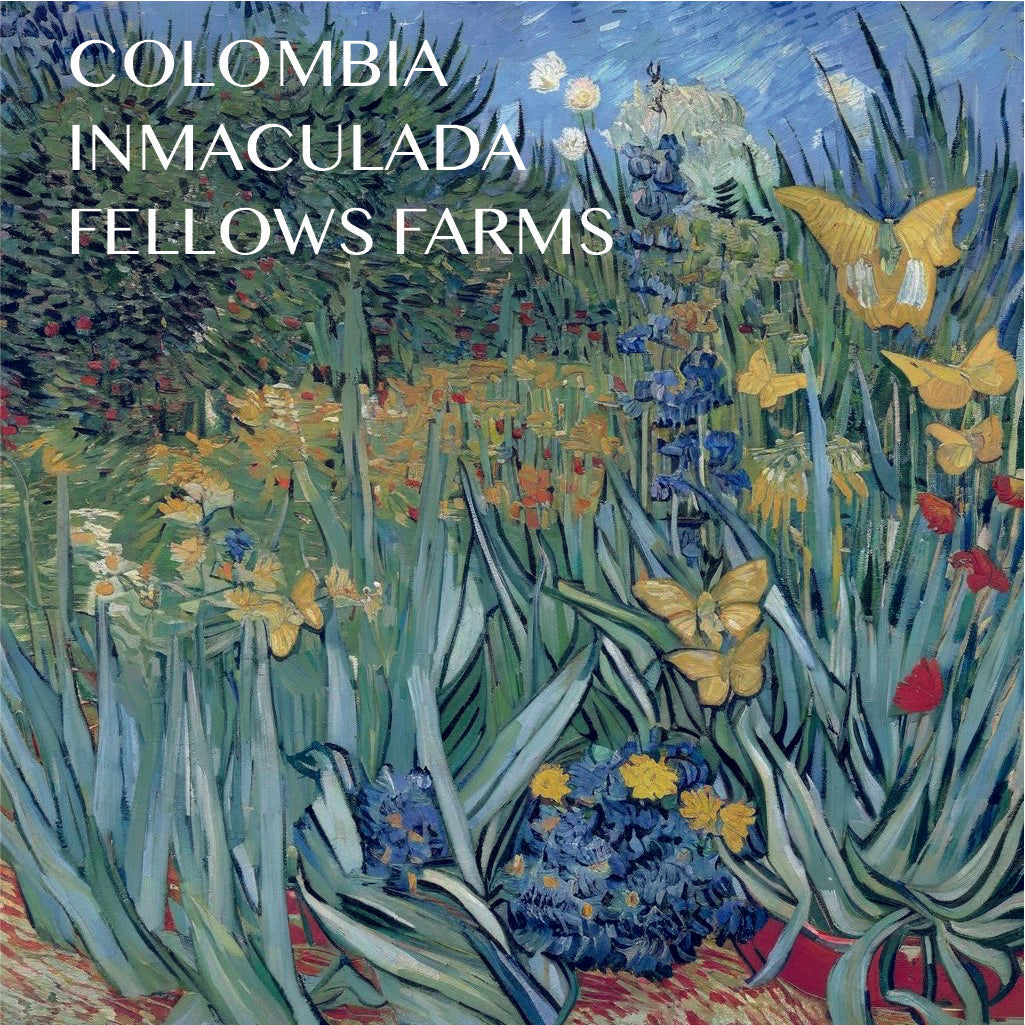 Colombia - Inmaculada Fellows Farms - Natural Anaerobic