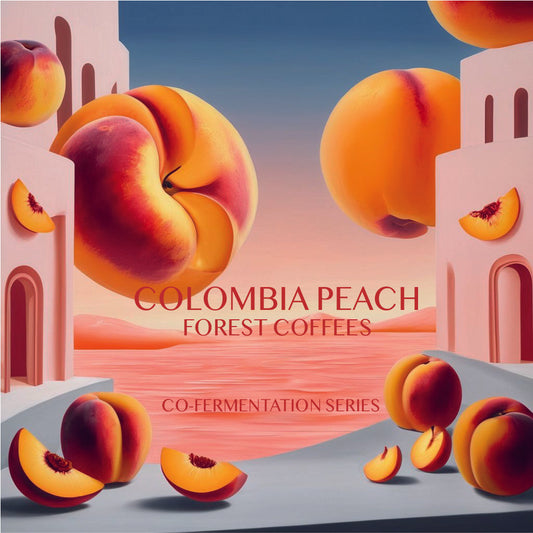 Colombia Peach - Forest Coffees - Co-Ferment
