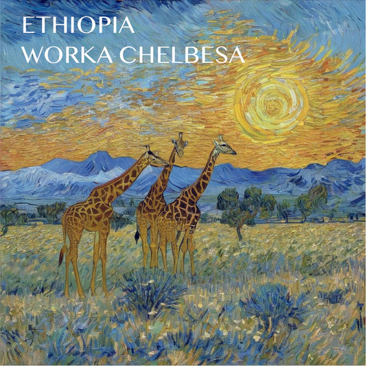 Ethiopia - Worka Chelbesa - Natural