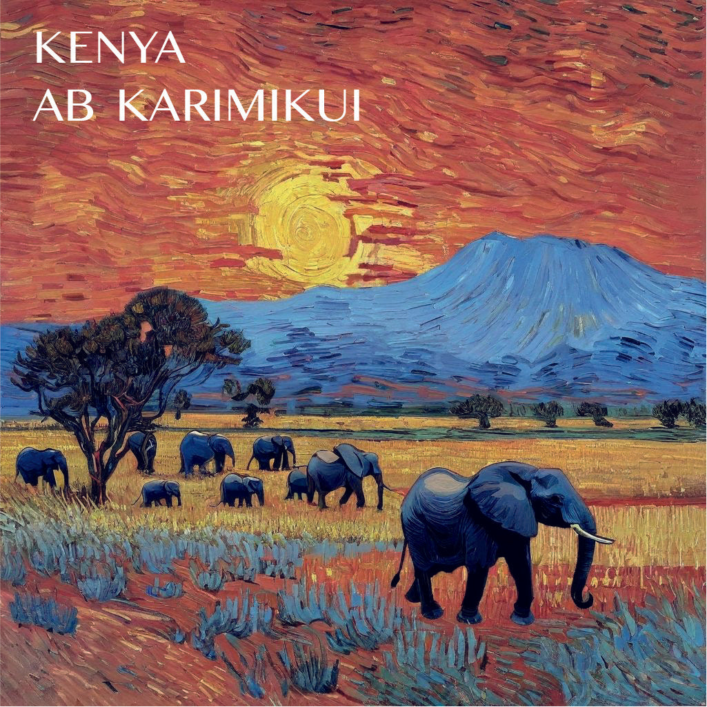 Kenya - Karimikui AB - SL28, SL34, Ruiru11 - Washed